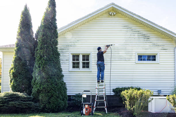 Best Roof Pressure Washing  in Lake Dunlap, TX