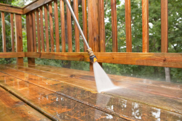 Best Pressure Washing Company Near Me  in Lake Dunlap, TX