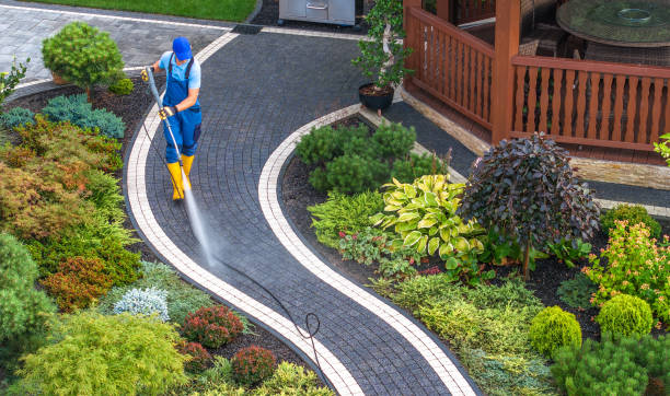 Best Local Pressure Washing Services  in Lake Dunlap, TX