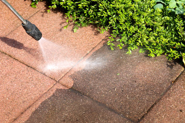 Roof Power Washing Services in Lake Dunlap, TX