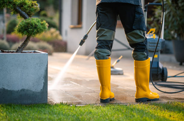 Best Affordable Pressure Washing  in Lake Dunlap, TX